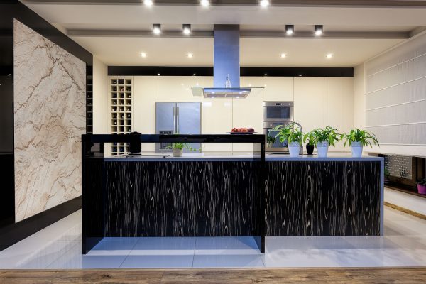 Urban apartment - Contemporary kitchen interior with elegant furniture